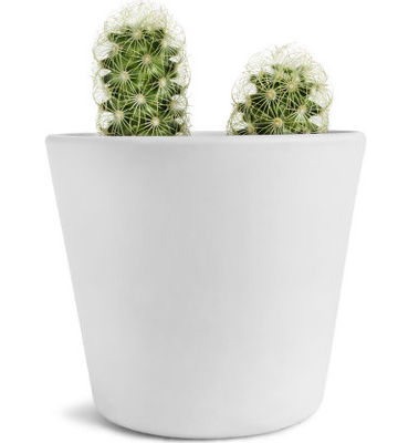 Dobra cena. Niestandardowe kolory Rotational Garden Planter Form PE Planters Rotomold Tooling w Internecie