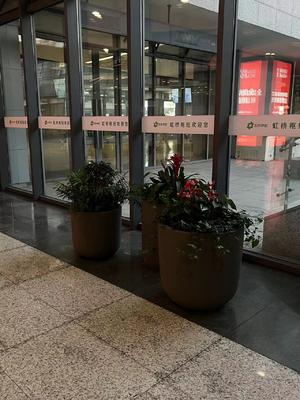 Un buon prezzo. Prodotti personalizzati per stampaggio rotazionale Vasi per fiori da esterno Rotomolding in linea