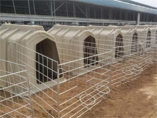 좋은 가격 주문형 및 색상을 위한 회전형조제품 PE Materia Rotomolding Calf hut 온라인으로