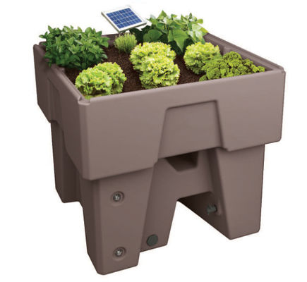 Aanpasbare grootte en kleur Rotatiemolden Planter Rotated Molding Vase Fabrikanten